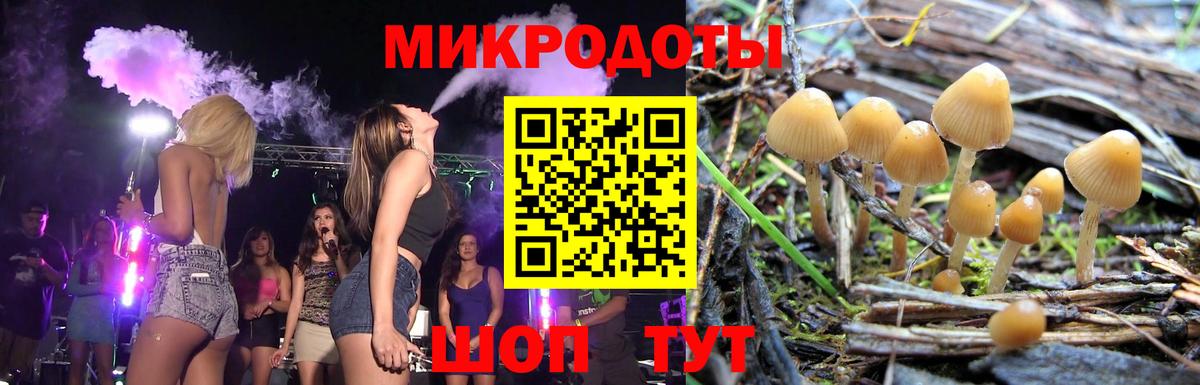 Галлюциногенные грибы Cubensis  где можно купить наркотик  Галлюциногенные грибы Magic Shrooms  Строитель  Вход с VPN 